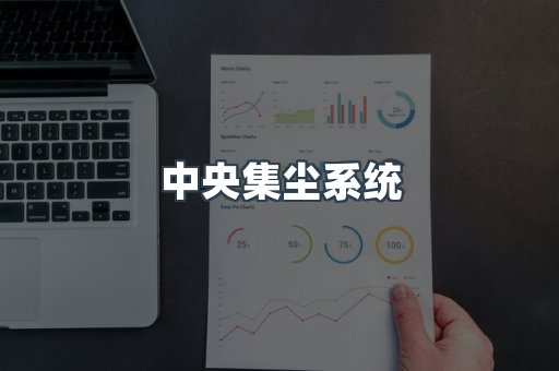 中央集尘系统