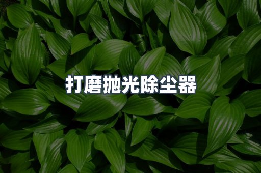 打磨抛光除尘器