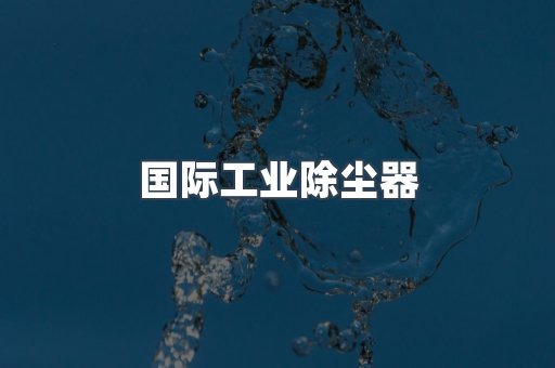 国际工业除尘器